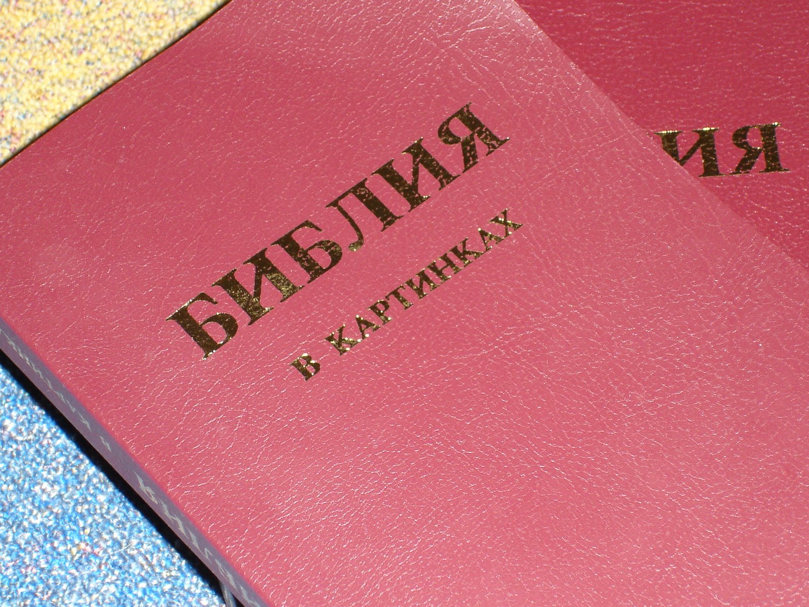 [Russian+Bibles.JPG]