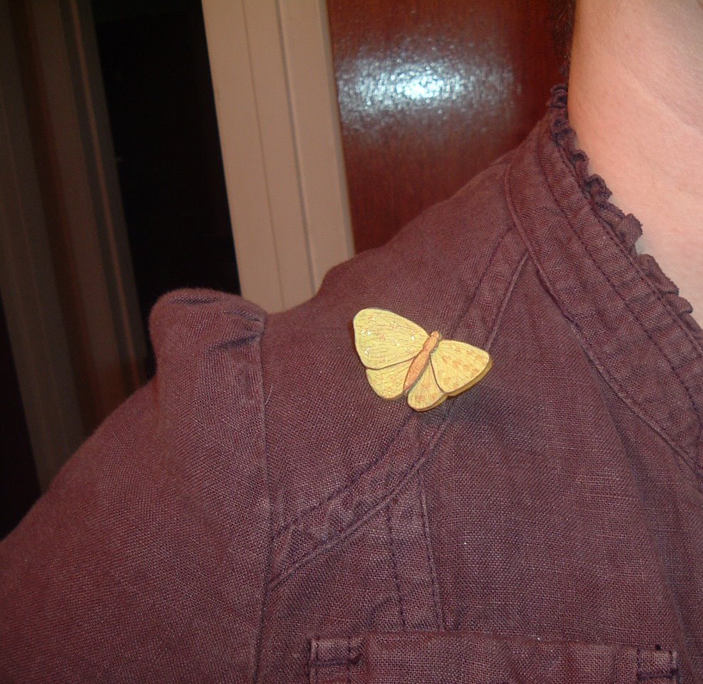 [yellow+butterfly+1-2.jpg]