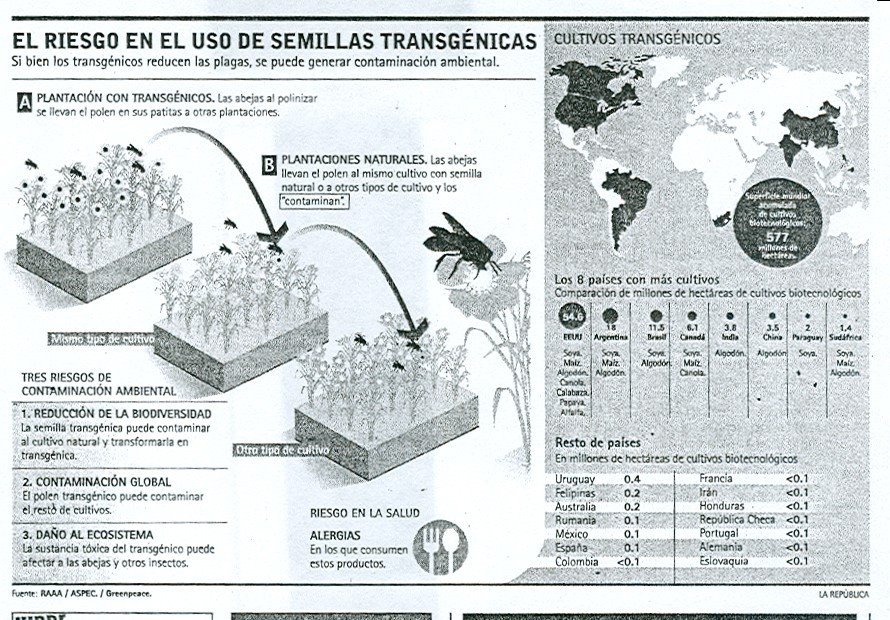 [grafica+semillas+transgenicas.+republica.jpg]