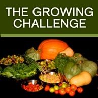 [Growing_Challenge.jpg]