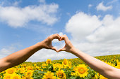 [heart+with+hands+in+the+sky+and+sunflowers.jpg]