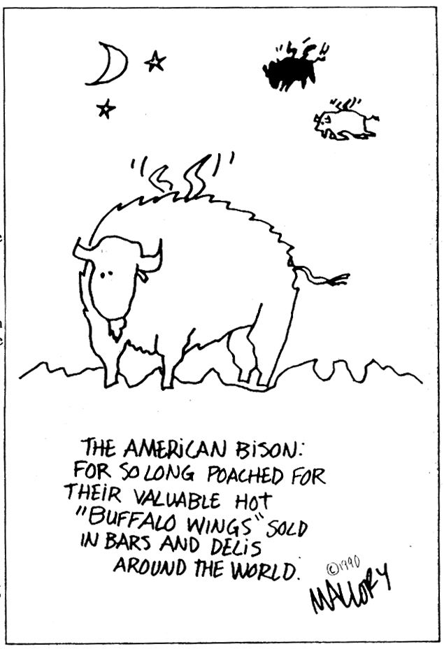 [buffalo.jpg]