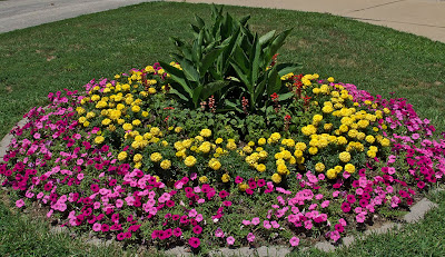 Saint Ignatius of Loyola Roman Catholic Church, in Concord Hill, Missouri, USA - flowers