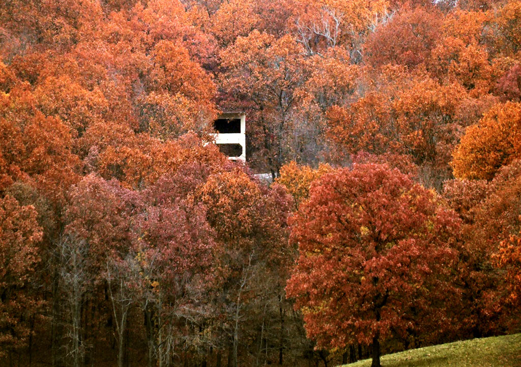 [Lone+Elk+County+Park,+in+Saint+Louis+County,+Missouri,+USA+-+fall+colors+2.jpg]