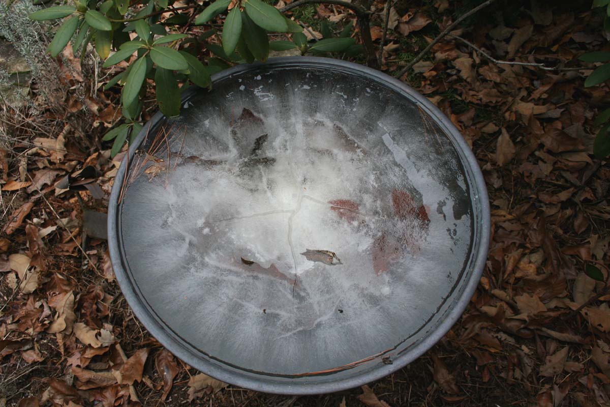 [frozen+birdbath.jpg]