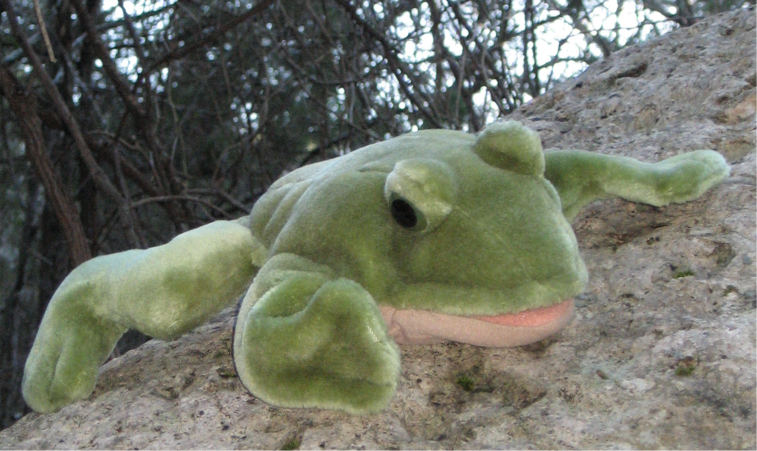 [frog+of+winter.png]