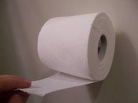 [toilet-paper-under.jpg]