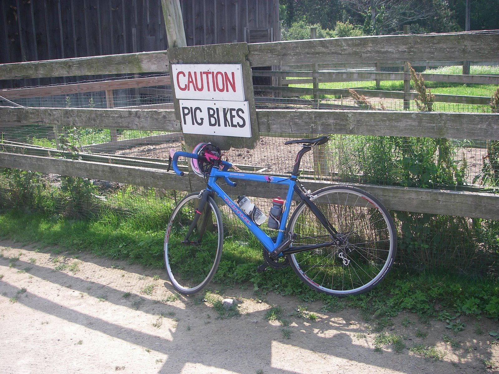 [Summer+in+Gloucester+2008+pig+bikes.jpg]