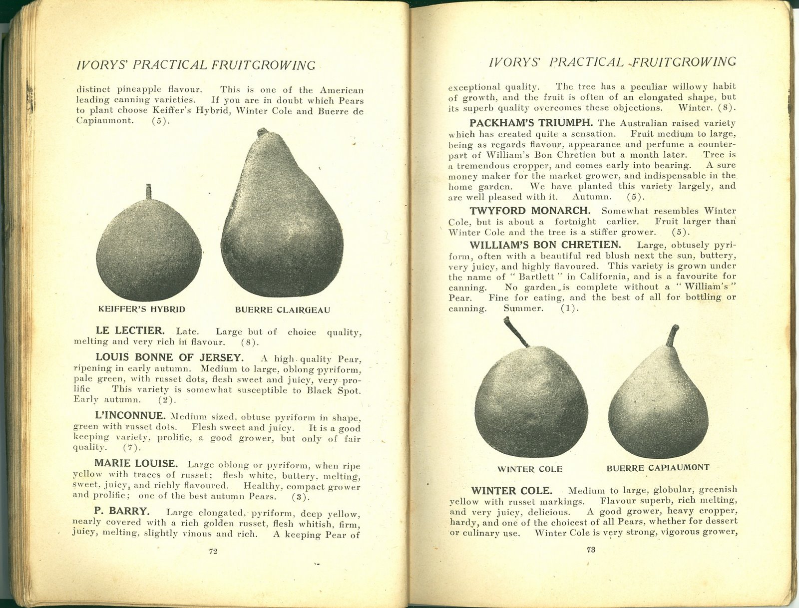 [1922xxxx+Brochure+Ivorys'+Practical+Fruit+Growing+Pg+072+073.jpg]