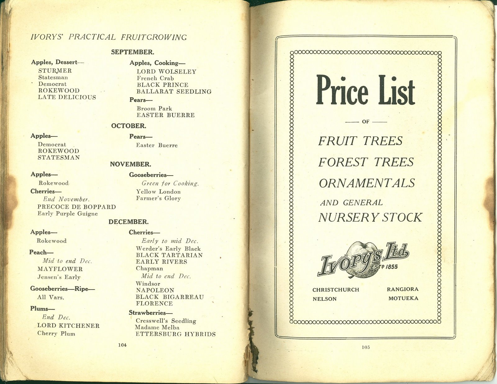 [1922xxxx+Brochure+Ivorys'+Practical+Fruit+Growing+Pg+104+105.jpg]