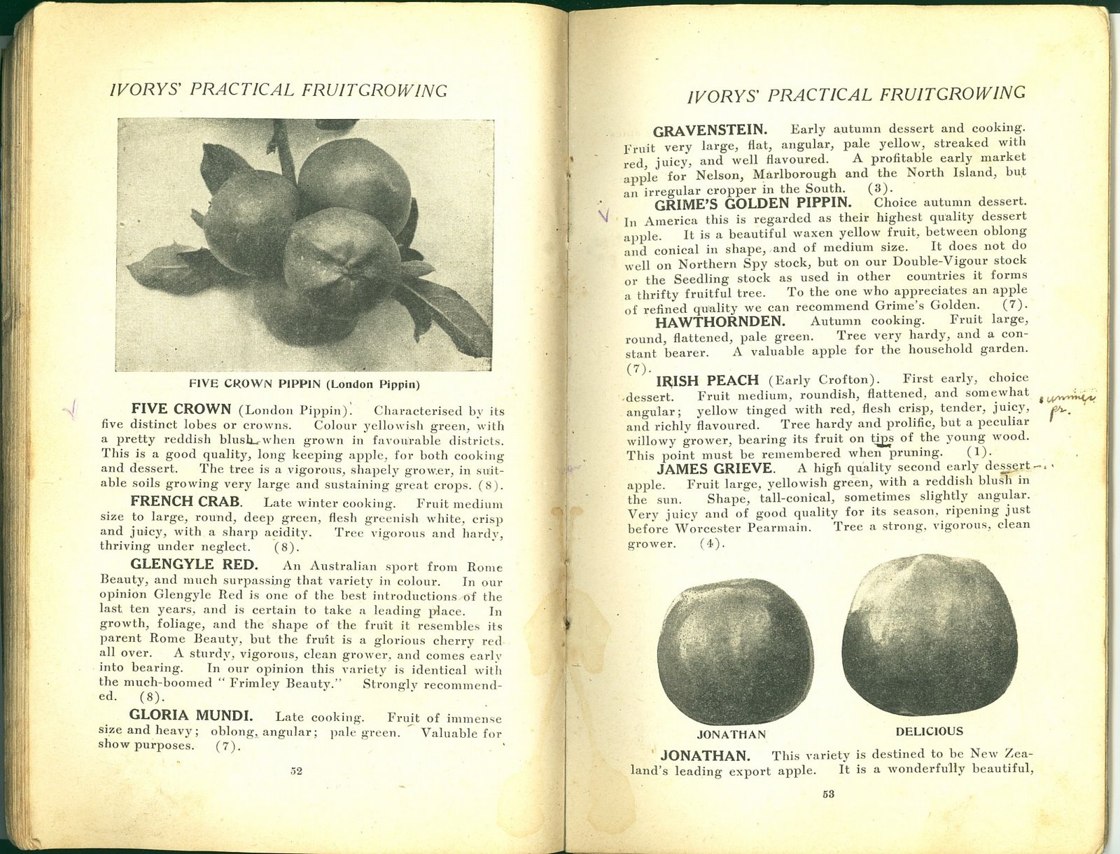 [1922xxxx+Brochure+Ivorys'+Practical+Fruit+Growing+Pg+052+053.jpg]