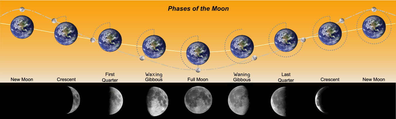 [Phases_of_the_Moon.png]