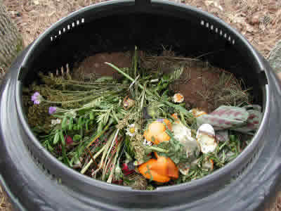 [composting-input.jpg]
