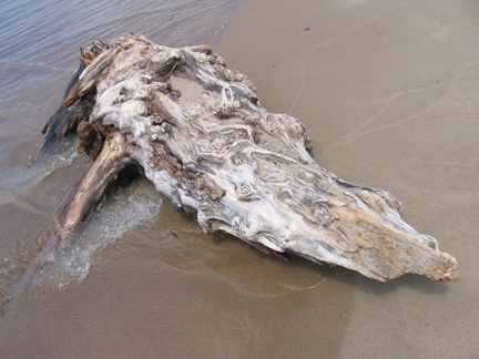 [driftwood+lake+huron.jpg]