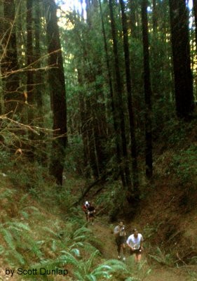 [Sequoia_French_Trail.jpg]