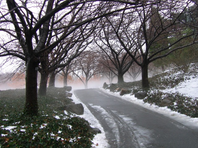[Snow+Mist.jpg]