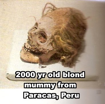 Paracas Mummy - Radio carbon dated to 2000 yrs. old.  Blonde hair and caucasoid skull shape.
