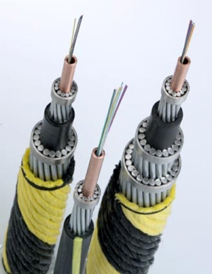 [060208cables.jpg]