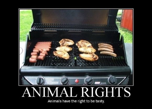[derechos+de+los+animales.jpg]
