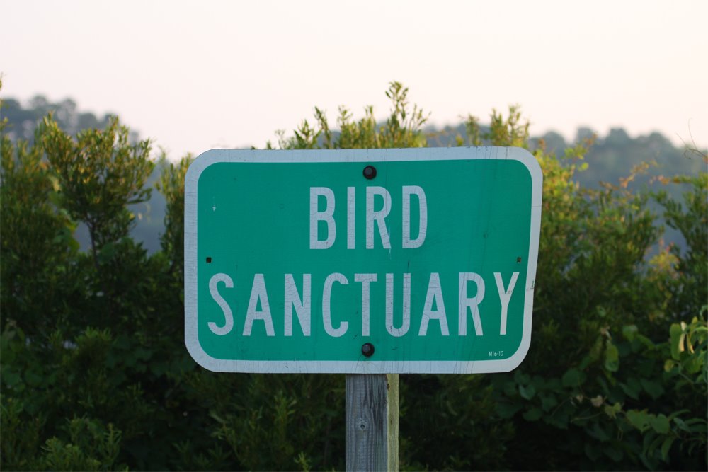 [bird+sanctuary.jpg]
