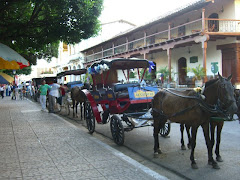 Granada- Horse Carriages