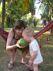 Coconut for Hayes