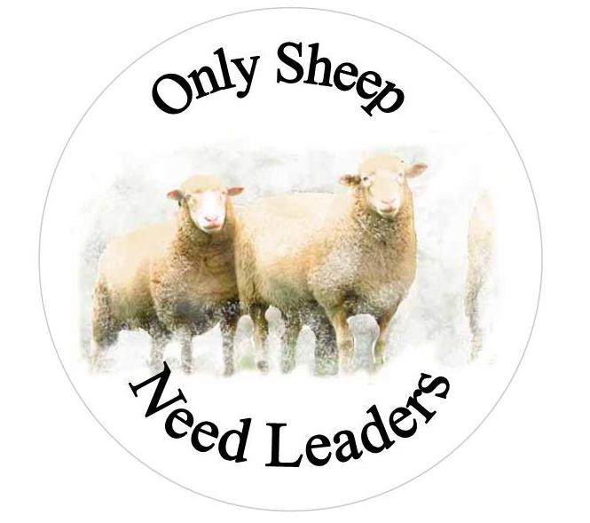 [sheep+need+leaders.jpg]