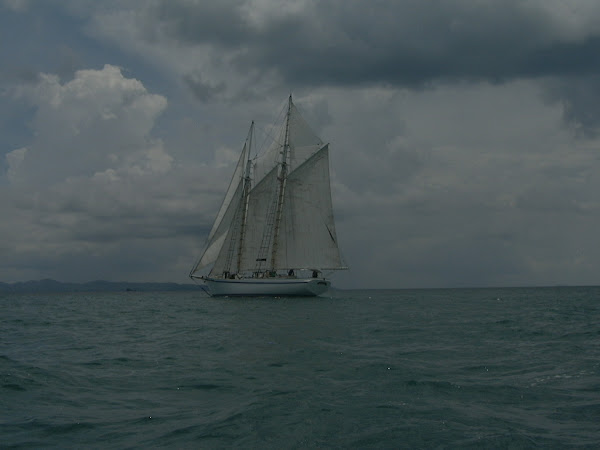 cortoM sailing 2