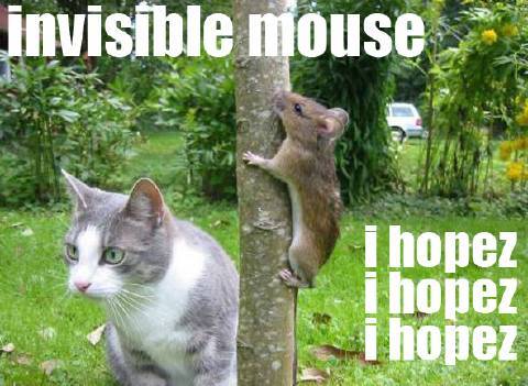 [invisible+mouse.jpg]
