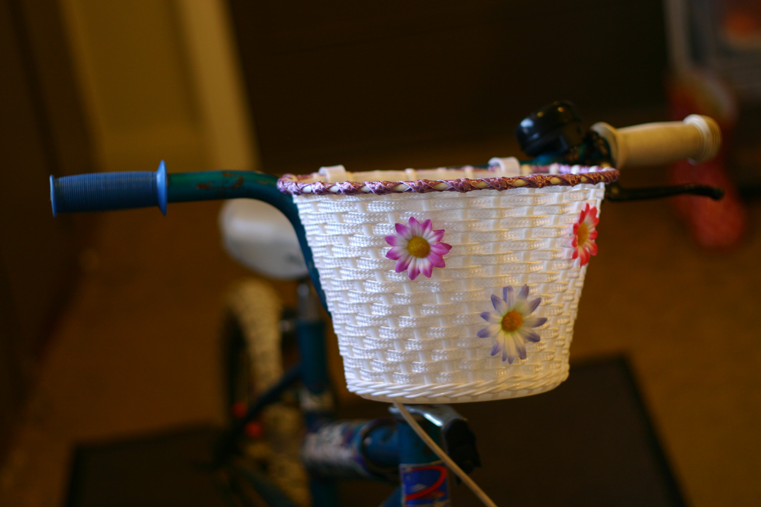 [bike+basket.jpg]