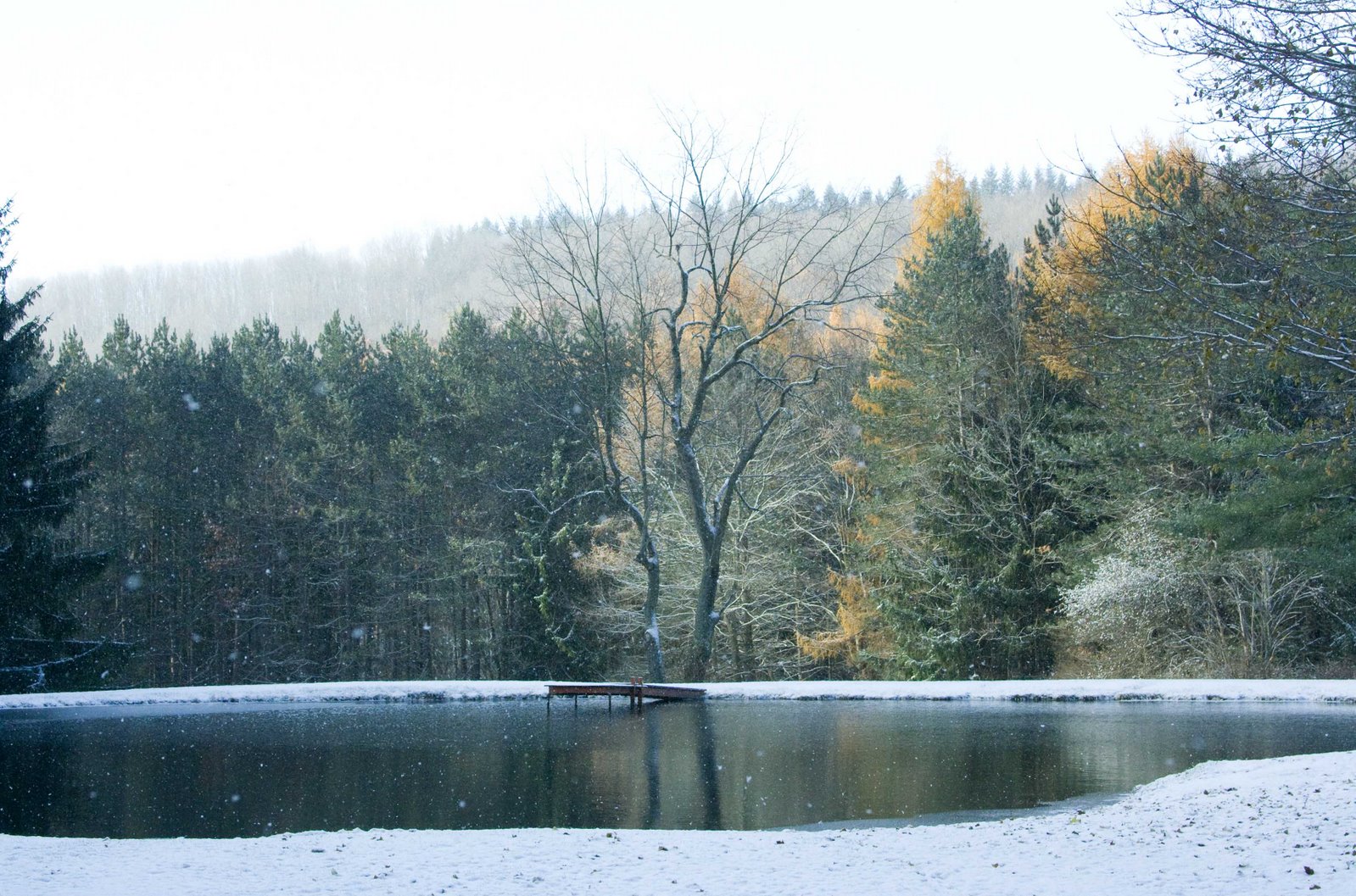 [pond+in+snow-5.jpg]