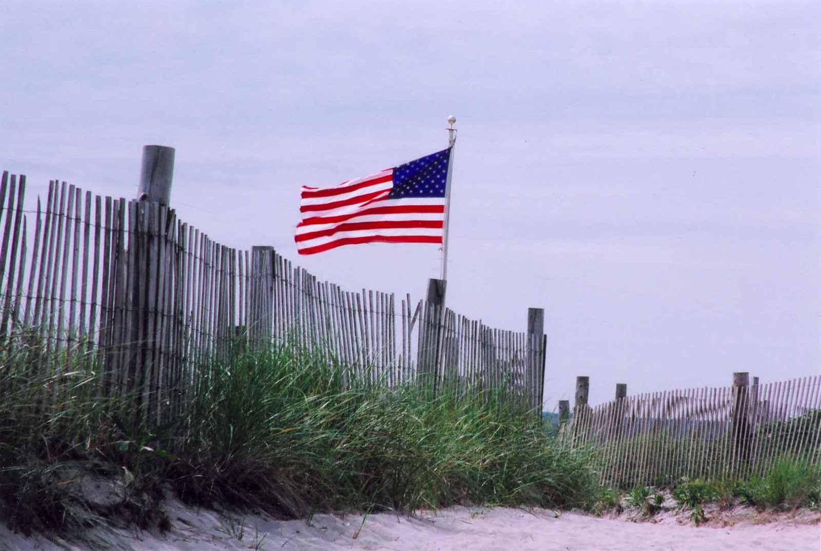 [flag+in+the+dunes.jpg]