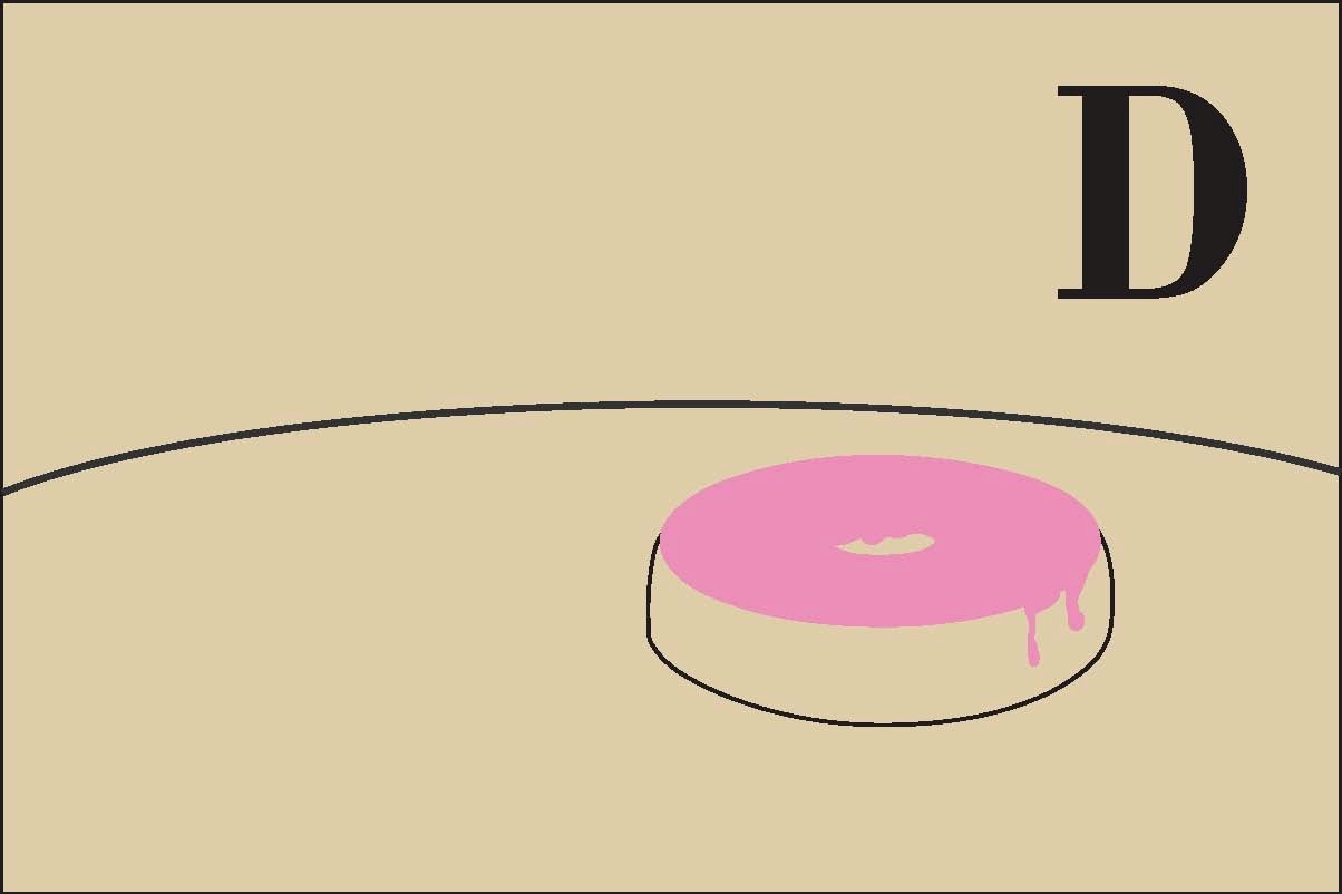 [snail+doughnut.jpg]