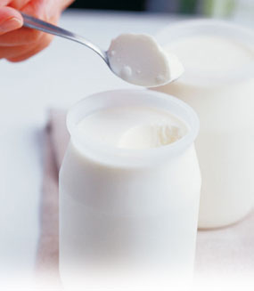 [yogurt-home-1.jpg]