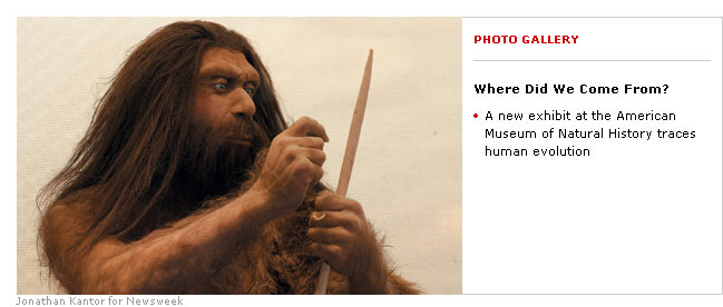 [Neanderthal.jpg]