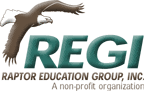 [REGI_logo.gif]