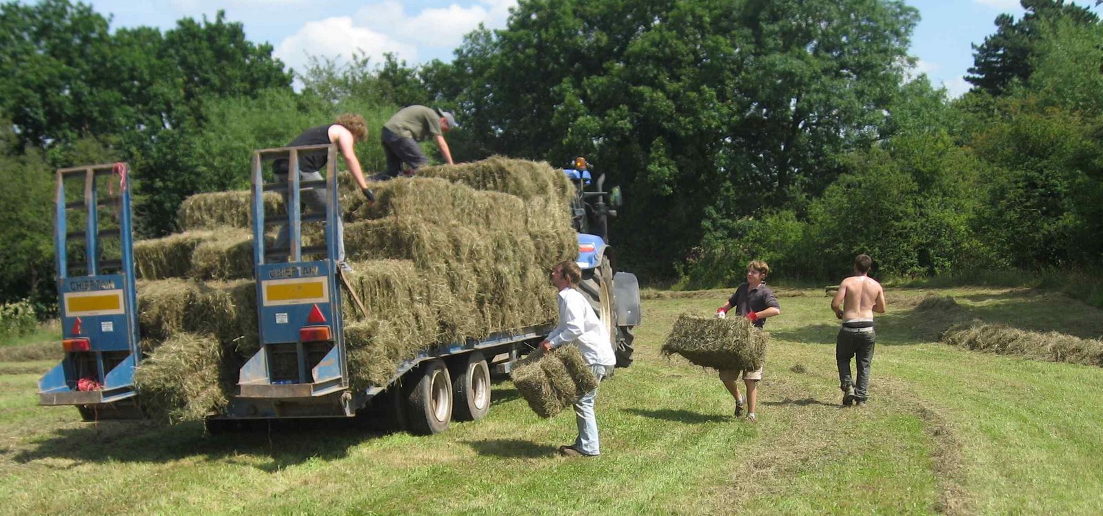 [Making+Hay+Melverley+meadows+July+26th+08+loading.jpg]