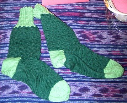 [alligator+socks+reduced.jpg]