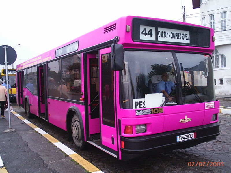 [800px-constanta_pink_bus.jpg]