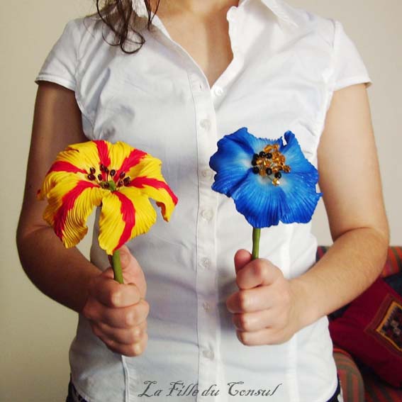 [tulipe+peroquet+et+pavot+bleu+lg.jpg]