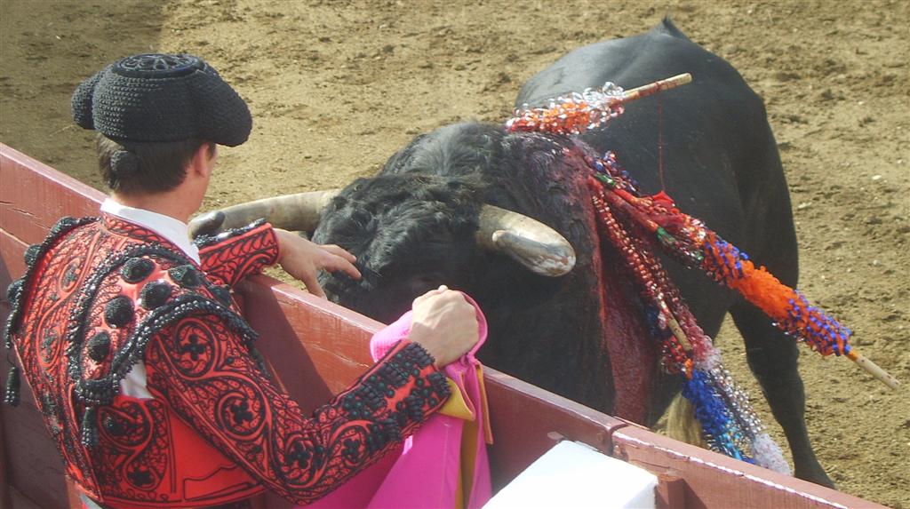 [portugal_moura_bullfighter_blood_touching_low_res.jpg]