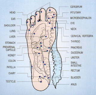 Pleasure points of the foot
