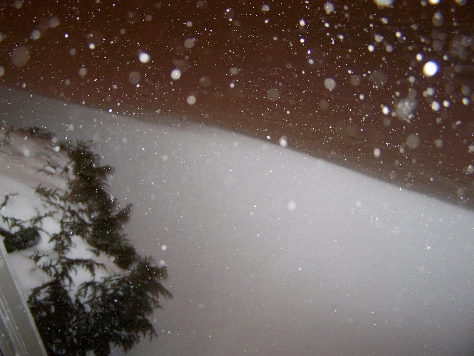 [Snow+2007+001.jpg]