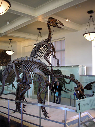 [2006-12-24-anatotitan.jpg]
