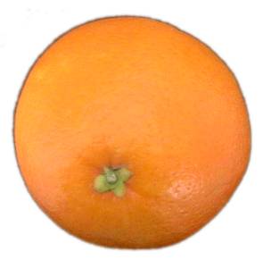 [Orange.jpg]