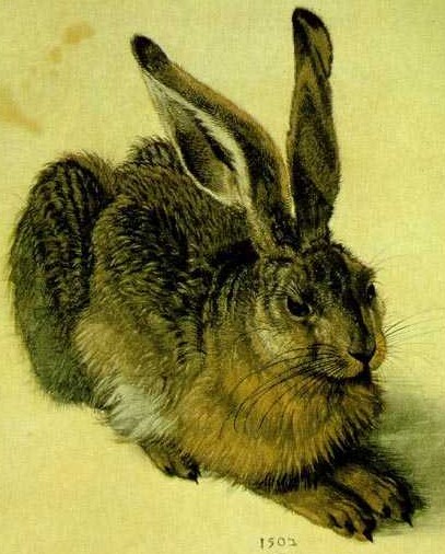 [hare2.jpg]
