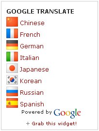 [google-translate-mini-flags-vertical.jpg]