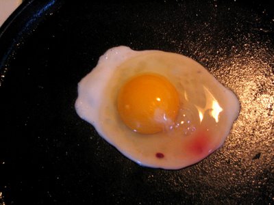 [bloody+egg.jpg]