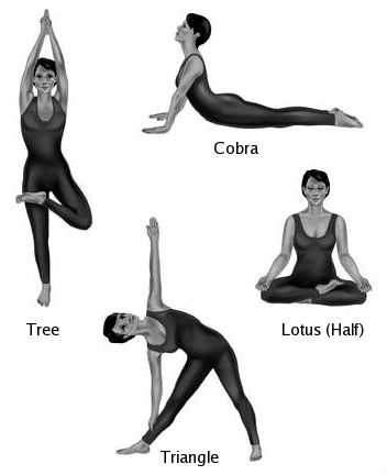 [yoga.jpg]