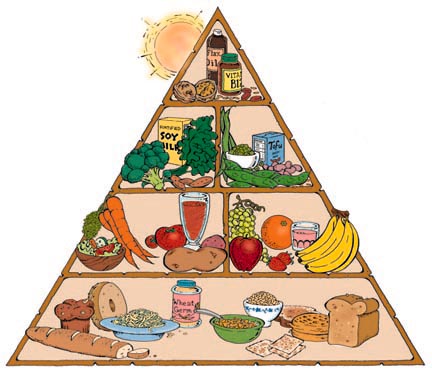 [Vegan-Food-Pyramid.jpg]